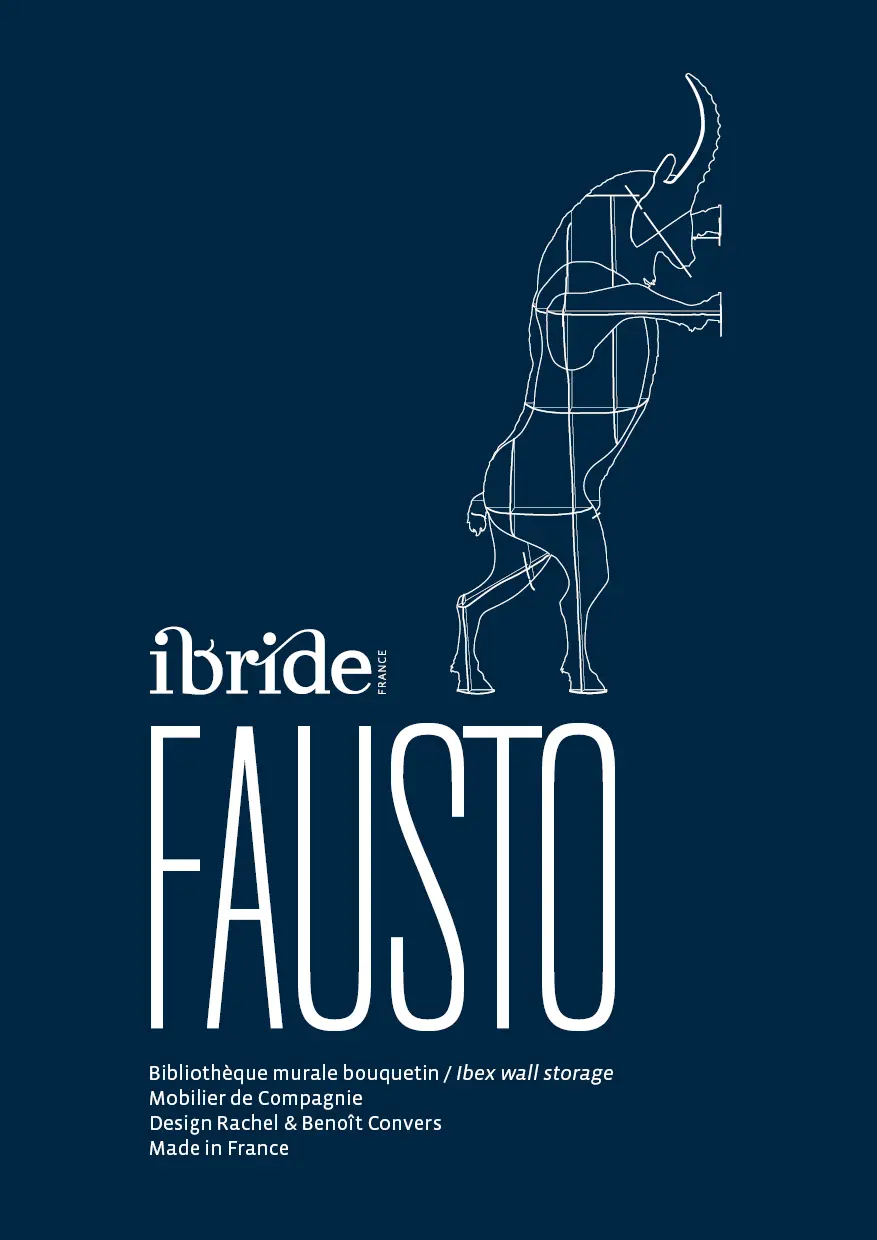 Notice Ibride - Fausto