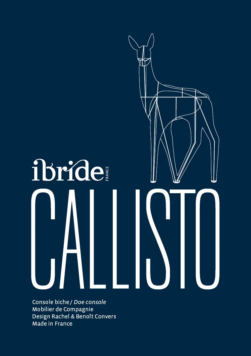 Notice Ibride - Callisto